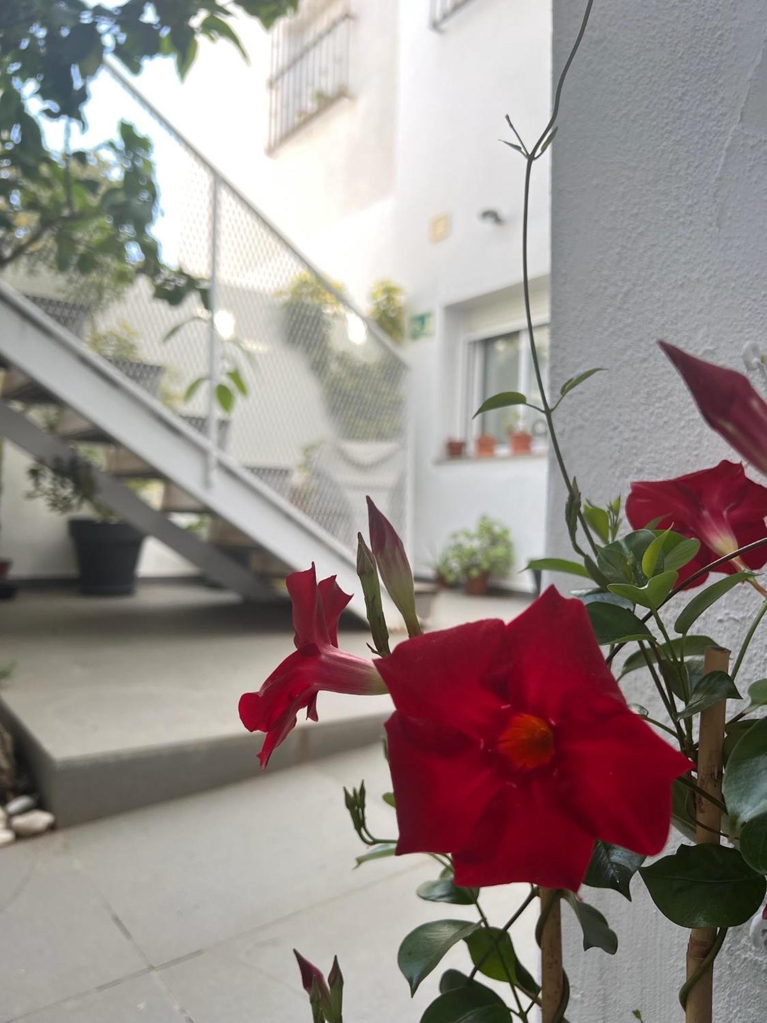 شيبيونا Chipibeach B&B, Hostal Boutique المظهر الخارجي الصورة
